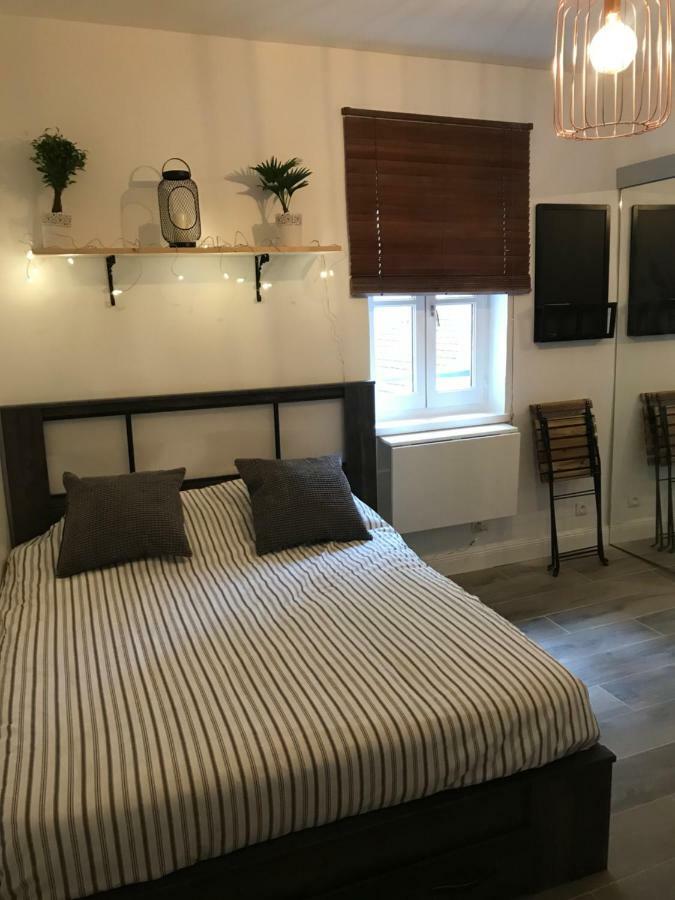 Studio Au Coeur De Lyon Apartment Екстериор снимка